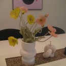 RS커스텀 | 260127 떠나보낸 디카 열 대를 회상하며.... (방출 사유와 짤막 후기)