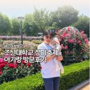 CU 광주우산점 | 광주 조선대 장미축제 아기랑 방문 축제 기간5.25까지