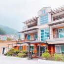 아모르 루시 이미지