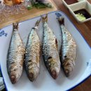 삼바리회센타