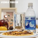 pet119무3002 | 부르르 제로사이다 500mL 다이어트 부담없는 무설탕!