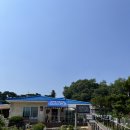 토니아 | 강화 분위기 좋은 이색 카페 토니아 후기