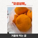 오성상회 이미지