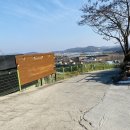 멍숲