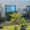 수성S여성의원 이미지