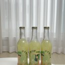 농업회사법인 곡성멜론주식회사 이미지