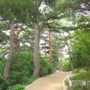 전의재래시장 이미지