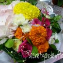 법화한의원 이미지