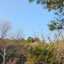 또올래캠핑장 이미지