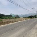 황금터부동산중개사무소 이미지