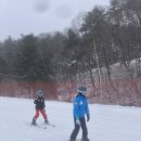 평창 휘닉스파크 이미지