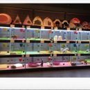 도그마루 강아지 고양이 성남분당점 이미지