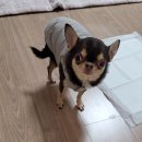 함평농협주유소 이미지