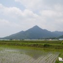 궁산농장 이미지