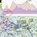 효자원농장 티스토리