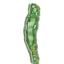 서 동 | 블루헤런CC 블루헤런GC 동-서코스 겨울 라운딩 후기