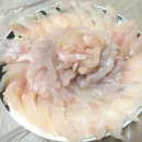 고니민박 이미지