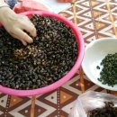 의풍분교온달캠핑장 이미지