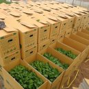 만물농약사 이미지