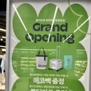 올리브영 | 부천 현대백화점 중동점 올리브영 오픈! 에코백 증정 후기