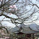 고당경로당 이미지