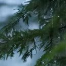 효사랑가정의학과의원 이미지