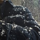 동성떡갈비 | 광주광산구청 앞 대형주차장 완비된 동성떡갈비