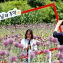 작천커피