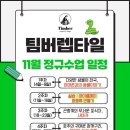팀버렙타일곤충;파충류샵