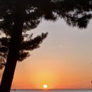 울진솔펜션 이미지