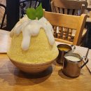 240124-230131 태국 여행기 (파타야+방콕)