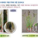 크로바드론