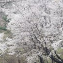 서종의 아침 이미지