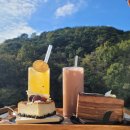 헤세디온, 강아지 운동장이 있는 애견동반 비슬산 대형 디저트 카페