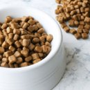 진위사료 이미지