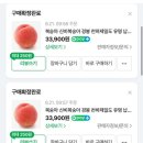 중길이사과 신비복숭아 내돈내산 찐 찐 대박 추천 솔직후기