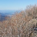 밤머리재약수터 이미지