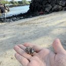 한담해변 | [제주 아이랑 가볼만한 곳] 애월 한담해변 후기