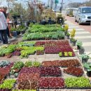 넝쿨농장 이미지