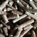 김종농장 이미지