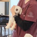 보정동물병원 이미지