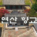 연산향교배롱나무 이미지