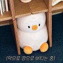 해인정 | 2024년 9월 요약(후다다다닥 지나가버린 내 9월...효녀는 힘드러요🏥)