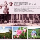 주식회사 제아 | 로즈오또 원더밤 보습과 영양을 위한 멀티밤 추천! (알티야 오가닉스)