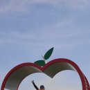 동진포 석축나루터 이미지