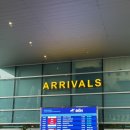 베트남 다낭 공항 입국 패스트트랙 후기, 가격 및 신청 방법