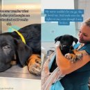 지 동물병원 이미지