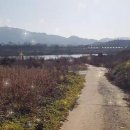 적성전통시장(버스 정류장) 이미지