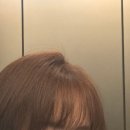 유진에코 | 대치동 미용실 뿌리 염색 후기 : 에코쟈뎅 대치테라스점