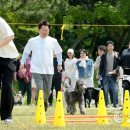 우리집 막둥이 이미지